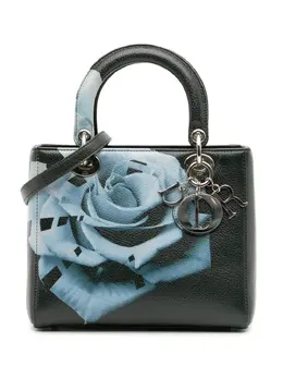 Christian Dior 2014 Medium Deerskin Floral Print Lady Dior satchel 31991150