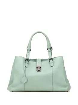 Bottega Veneta 2012-2025 Medium Cervo Roma tote bag 31976066