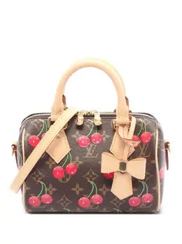 Louis Vuitton × Takashi Murakami 2021 Speedy Bandouliere 20 tote bag 31913242