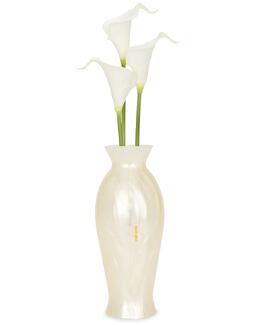 Клатч Florence Cult Gaia, Ivory gaia-wy163 | ivory