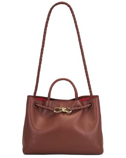 Сумка Andiamo Bottega Veneta, Sapele, Red Stone, & Muse Brass bott-wy1884 | sapele, red stone, & muse brass