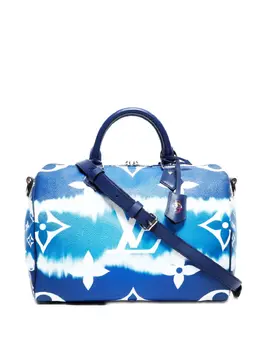 Louis Vuitton 2020 Speedy 30 tote bag 32020531