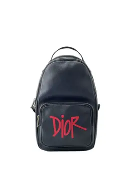 Christian Dior 2020 Shawn Stussy Grained Calfskin Year of the Ox Sling Bag backpack 32054681