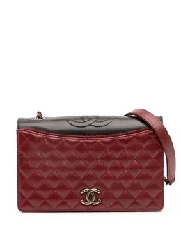 Chanel 2015-2016 Small Quilted Lambskin Ballerine Flap Bag crossbody bag 32094771