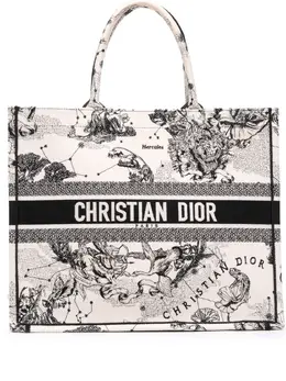 Christian Dior 2021 Large Canvas Embroidered Zodiac Toile De Jouy Book tote bag 32094796
