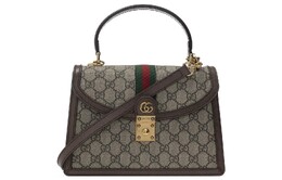 Gucci Женская сумка Ophidia 651055-96iwx-8745
