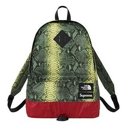 Сумка x the north face snakeskin lightweight day backpack 'green yellow' Supreme, зеленый sup-ss18-389 | green/yellow