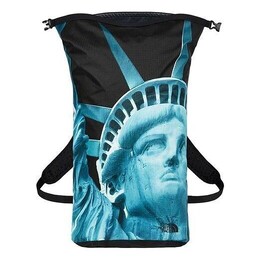 Сумка x the north face statue of liberty waterproof backpack 'blue black' Supreme, синий sup-fw19-911 | blue/black