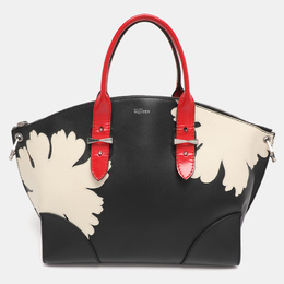 Alexander McQueen Multicolor Leather Legend Satchel 1215663