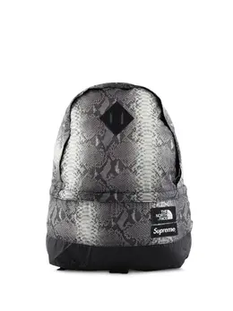 Supreme TNF Snakeskin Lightweight Day backpack 14454278